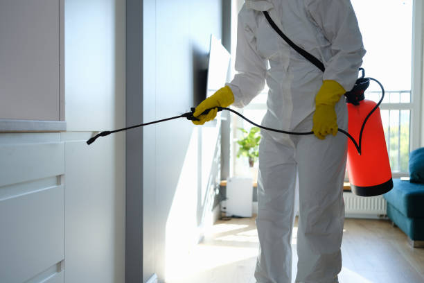 Best Residential Mold Removal  in Level Park Oak Park, MI